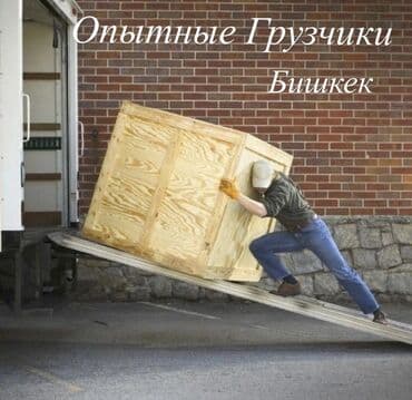 ищу работу мальчик: Жүк ташуучу. Тажрыйбалуу — 1