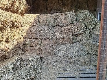 Продаётся сено в тюках клевер первый укус сухой,без доставки сами