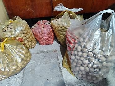 Жер-жемиштер: Грецкие орехи в скорлупе - Натуральные, целые орехи среднего и — 2