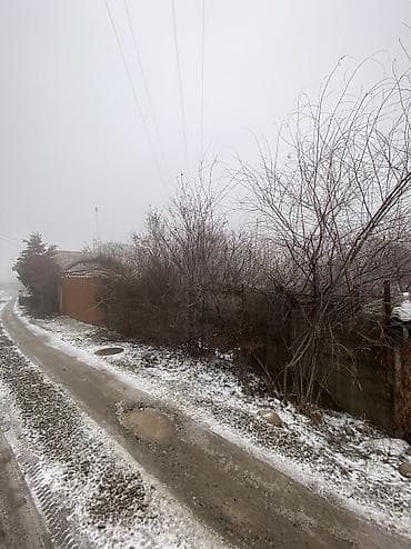 гараж джал: 9 соток, Красная книга — 4