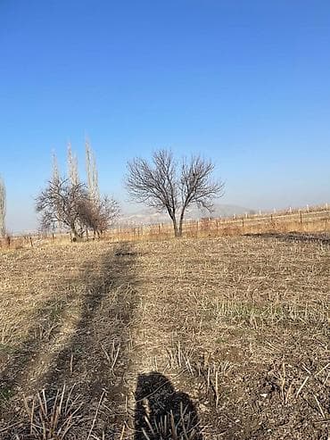 участок 10000: 6 соток, Для строительства, Красная книга — 1