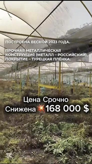 Кыймылсыз мүлк: Күнөскана, 135 соток, Иштебеген, Жабдуулары менен — 7