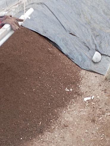 земля в мешках: Продаю Биогумус! - Мелкая однородная фракция: легко распределяется — 2