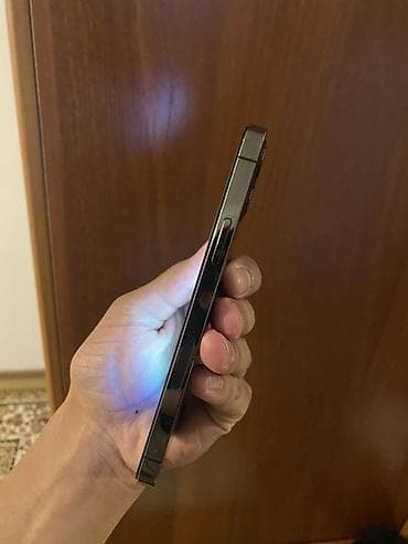 ne net: IPhone 13 Pro, Графит — 5