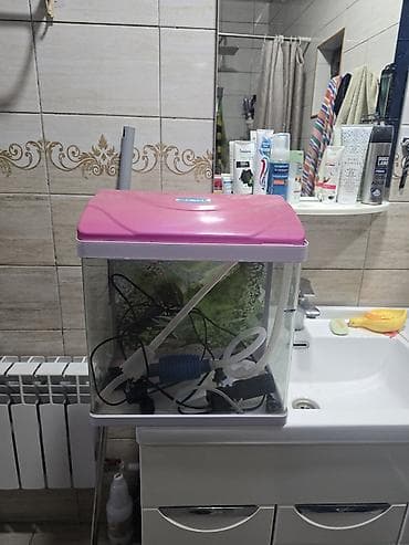 заводской аквариум: Продаю аквариум 30 литров, заводской со всеми причиндаламив хорошем — 3