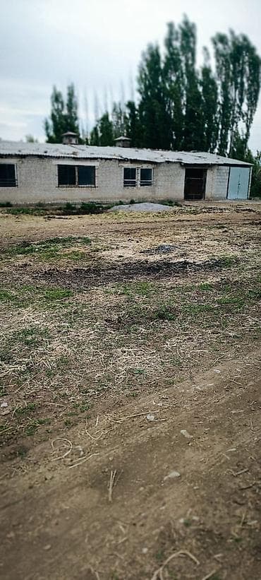 город бишкек село ленинское продажа участков: Продается кошара с домом. дом 4 комнаты все удобства в доме. есть — 10