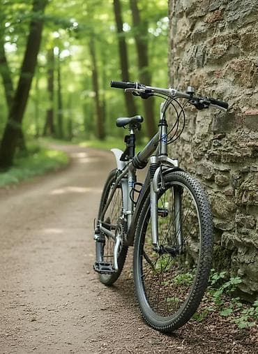 65 style: Велосипед жакшы тормоз скорость иштейт ремонт кылыш керек педалды — 1