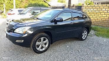 Lexus RX: 2004 г., 3.3 л, Бензин, Кроссовер — 10