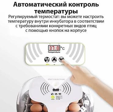 инкубационные яица: Инкубатор на 16 яиц #Инкубатор #БизнесИнкубатор — 6