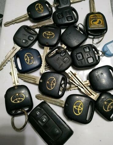 программирование ключей: С выездом — 10