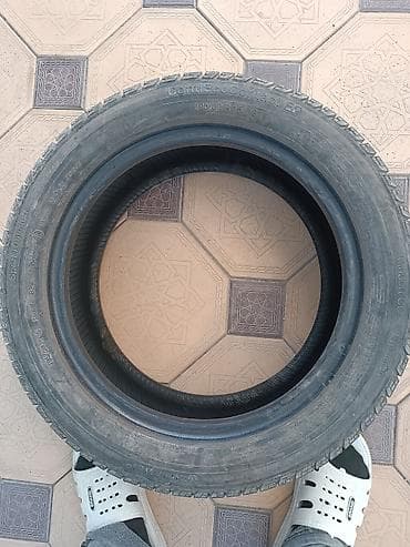купить мотошины: Шины 195 / 55 / R 15, Зима, Пара, Легковые, Dunlop — 1