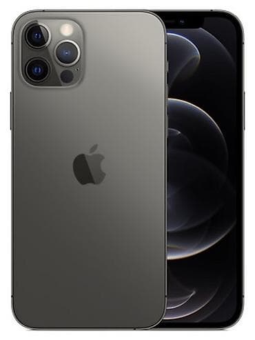 IPhone 12 Pro, Графит
