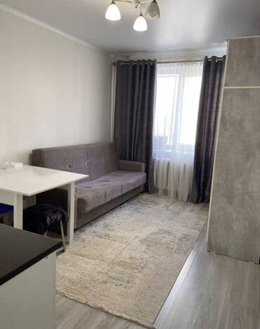 Батирлер: 1 бөлмө, Риелтор, Чогуу жашоосу жок, Жарым -жартылай эмереги бар — 1