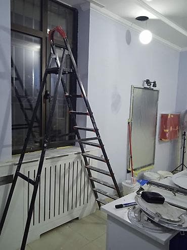 мойка ковролин: Покраска стен, потолков, дверей и декоративных элементов Более 6 лет — 4