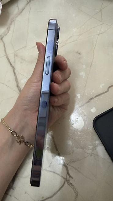 iphone 111: IPhone 13 Pro Max, Б/у, 1 ТБ, Sierra Blue, Кабель — 3