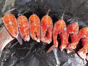 Азык-түлүктөр: Только оптом продаю радужную форель триплоид вес от 900 гр до 1,7 кг — 3