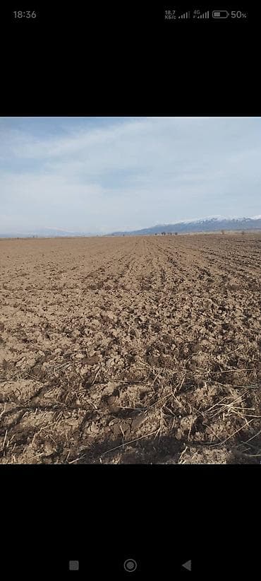 участок сатылат бишкек 2022: 3 соток, Айыл чарба үчүн — 3