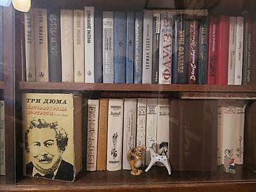 биог: Книжный шкаф, Дерево — 5