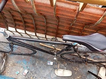 single speed: Городской велосипед, Рама L (172 - 185 см), Б/у — 5