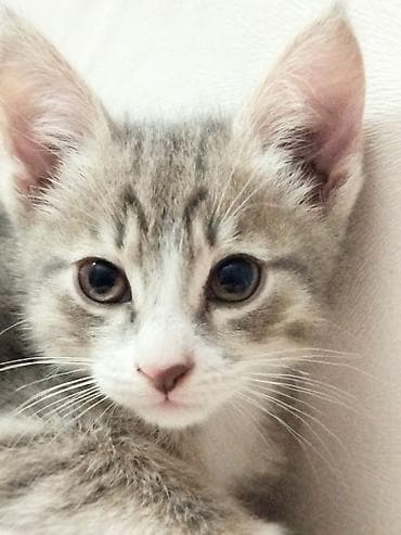 3 месяца, Девочка