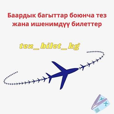 требуется заказ: Авиа билет сатып алууда документ иштеринде түшүнбөстүктөр болуп — 1