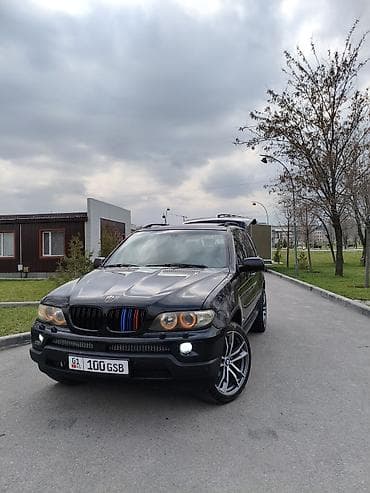 BMW X5: 2005 г., 4.4 л, Автомат, Бензин, Кроссовер