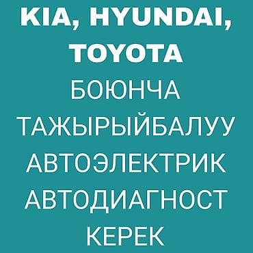 Требуется опытный автоэлектрик-автодиагност по маркам KIA, Hyundai
