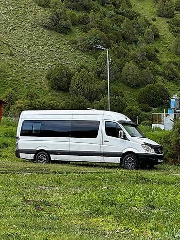 Mercedes-Benz Спринтер: 2006 г., 2.2 л, Механика, Дизель, Бус