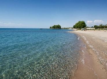 Жер тилкелери: 4 соток, Курулуш, Кызыл китеп — 5
