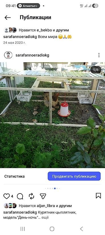 бекер мышык: Переносной уличный курятник-цыплятник «День‑ночь» - Назначение — 4