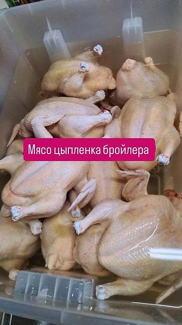 полный фарш: 🐔Мясо цыплёнка-бройлера, тушки целиком. Куриное мясо, бройлер. Целые — 2
