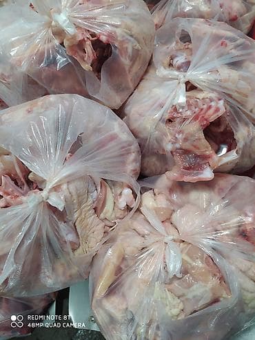 mr beast: Продаю куриные потроха Свежие замороженные без запаха итд Желательно — 6