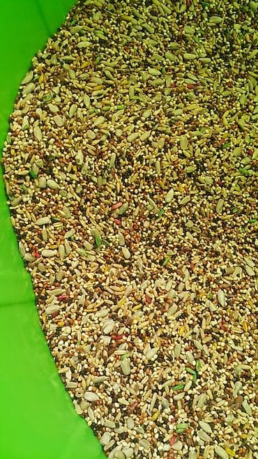 Үй жаныбарлары: Корм на развес кг попугаям 160-200с канарейкам УЗ-220с — 1