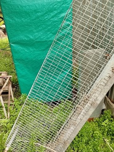 авган кой: Продаю клетки для курей,в количестве 6штук,в каждую помещается 16 — 1