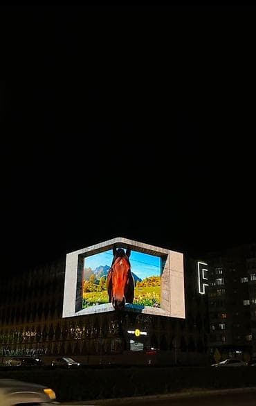 Услуги: Толук Поинт × FOEL создаём контент, который замечают: от графического — 9