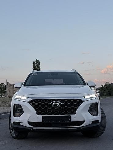 летний резина: Hyundai Santa Fe: 2019 г., 2 л, Автомат, Дизель, Кроссовер — 1