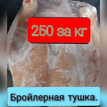 Домашние бройрерные куры. вес от 2.0 до 2.7 кг. без ГМО