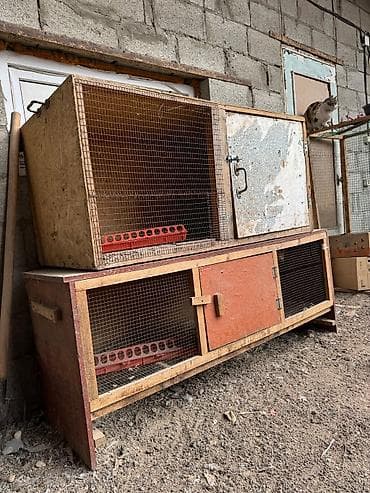 ыссык куле: Продам две клетки для птиц цена 7000 сом — 2