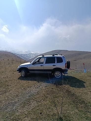 ниваа: Chevrolet Niva: 2006 г., 0.7 л, Ручные, Бензин, Кроссовер — 9