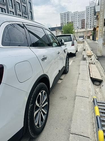 221 диска: Renault QM6: 2019 г., 2 л, Автомат, Бензин, Кроссовер — 7