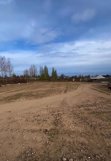 4 соток, Курулуш, Кызыл китеп