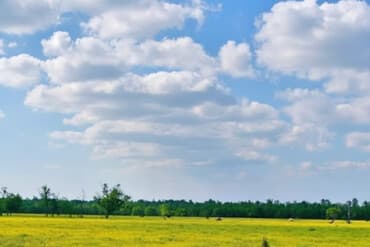 меняю дом на участок: 5 соток, Для строительства, Красная книга, Тех паспорт, Договор купли-продажи — 2