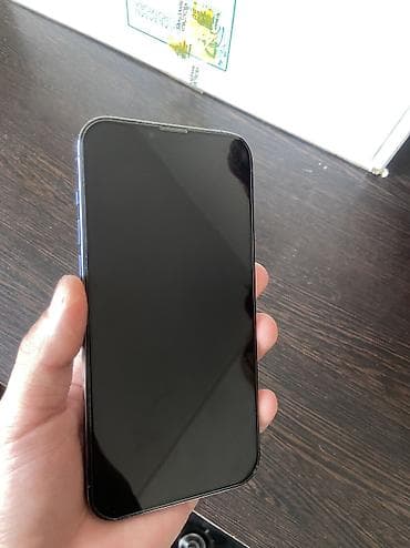 hp laserjet p2015dn printer: IPhone 13 Pro, 128 ГБ, Sierra Blue — 1