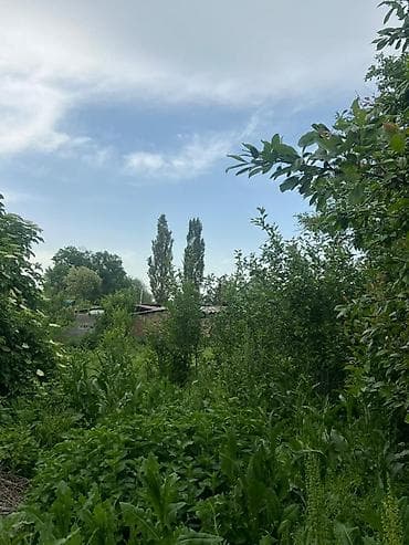 Дома: 📌В селе Беловодское продается старенький дом на участке 8 соток — 3