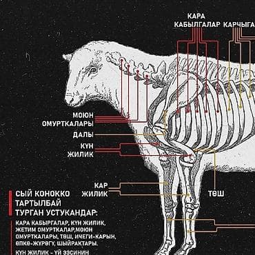 касапчы сокулук: Касапчы Бишкек шаар ичи жана сырты уй жылкы кой топоз ж.б сойуп — 1