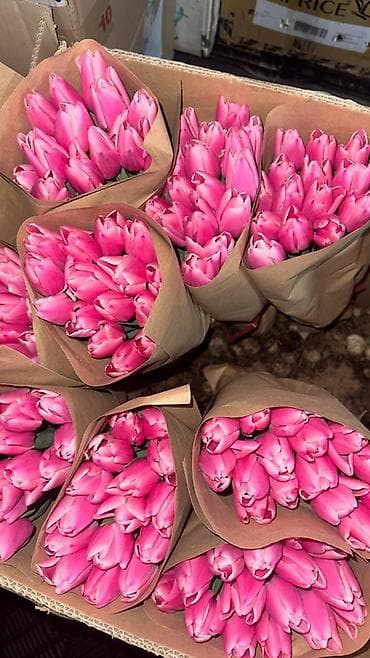 детские парта: Тюльпаны оптом и в розницу Оптом 80сом В розницу 90сом Вотцап - — 2