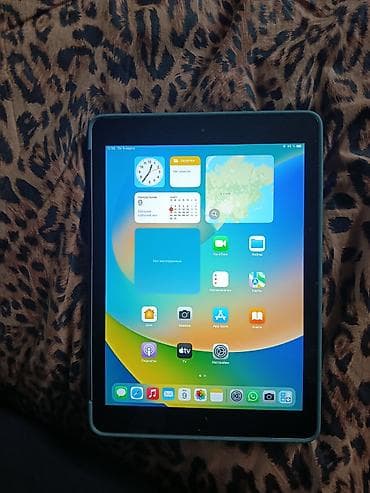 Электрондук китептер: Электрондук китеп, Apple, 10" - 11", Wi-Fi, түсү - Жашыл — 5