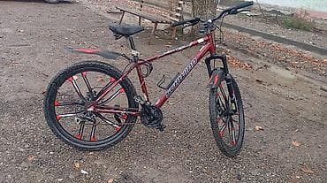 Велосипеддер: Горный велосипед с амортизационной вилкой - Рама — 3