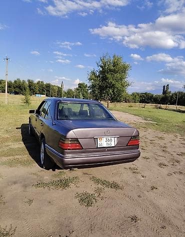 степ эреф 1: Mercedes-Benz W124: 1993 г., 2.2 л, Кол менен иштөөчү, Бензин — 8