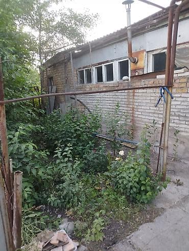 лазерный берег: Продам дачу. В дачном кооперативе Энергетик 6. За посёлком Дачный. Не — 4